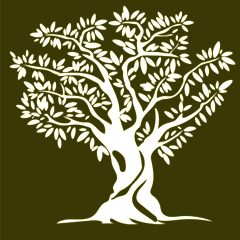 Olivadoti_Olive_Oil_Logo